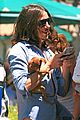 cisco-dog