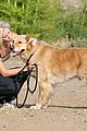 heidi-dog