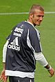 becks-press