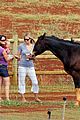 garner-horses