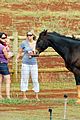 garner-horses
