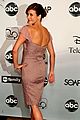walsh-tcas