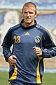 beckham-harlem