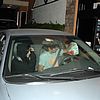 zanessa-mcdonalds