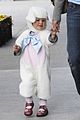 violet-little-lamb