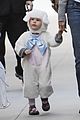 violet-little-lamb