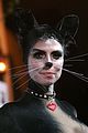 heidi-cat