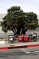 hudgens-permit