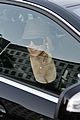 lohan-karats
