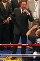 celebrity-boxing