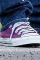 alba-purple