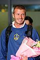beckham-korea