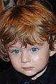 barron-bunny