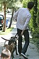 brody-dogs