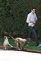 brody-dogs
