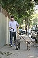 brody-dogs