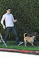 brody-dogs