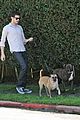 brody-dogs