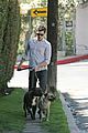 brody-dogs