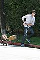 brody-dogs