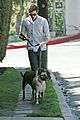 brody-dogs