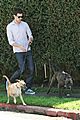 brody-dogs