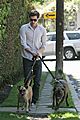 brody-dogs