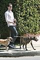 brody-dogs