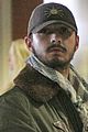 shia-fields
