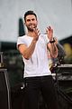 levine-gma