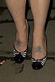 osbourne-zebra