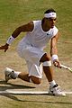 nadal-wimbledon