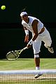 nadal-wimbledon