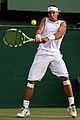 nadal-wimbledon