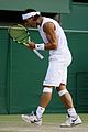 nadal-wimbledon