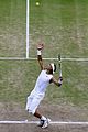 nadal-wimbledon