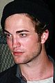 pattinson-hawk