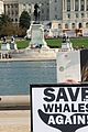 panettiere-whales-again