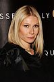 paltrow-valentino