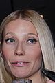 paltrow-valentino