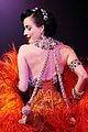 dita-door