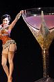 dita-door