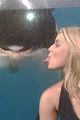 simpson-shamu