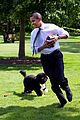 bo-obama