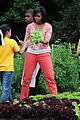 obama-garden