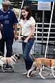 sophia-adoption