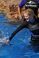 seaworld-paquin