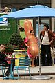 ferrera-dog