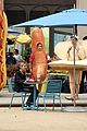 ferrera-dog