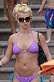 spears-purple